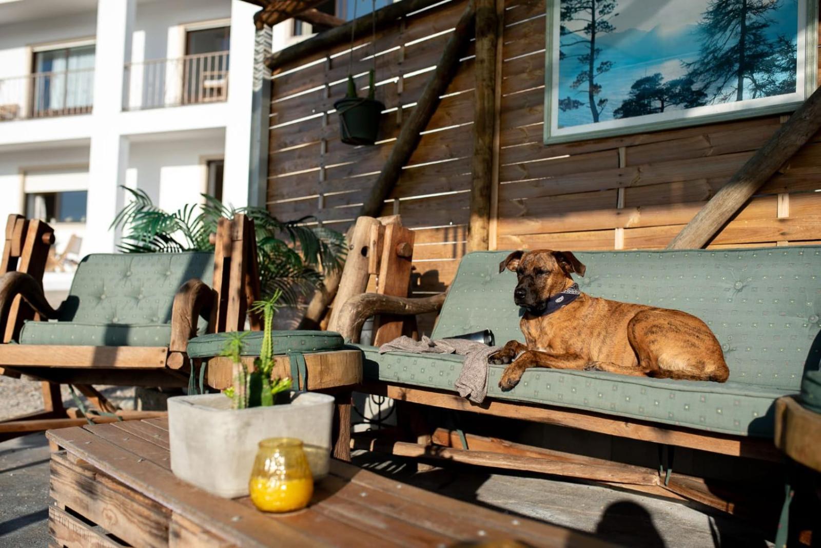Villa Intuitiva - Relaxation And Mindful Stay Лорінян Екстер'єр фото